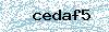 Code de sécurité